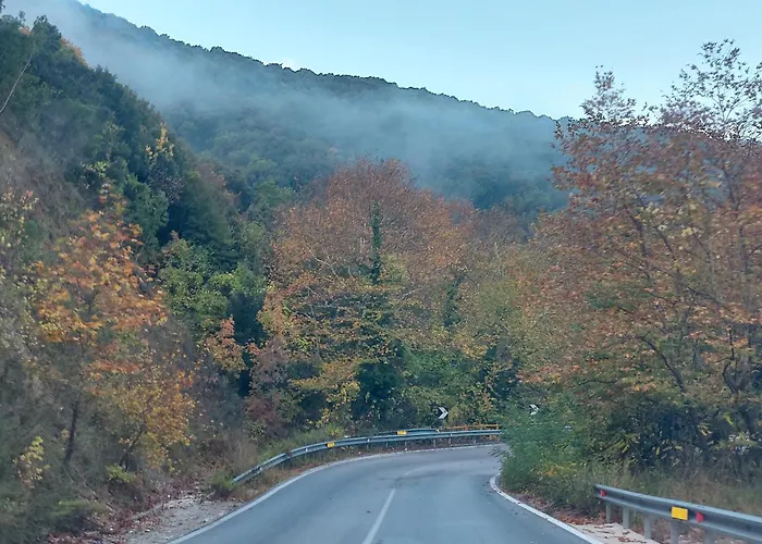 Neon Bed & Breakfast