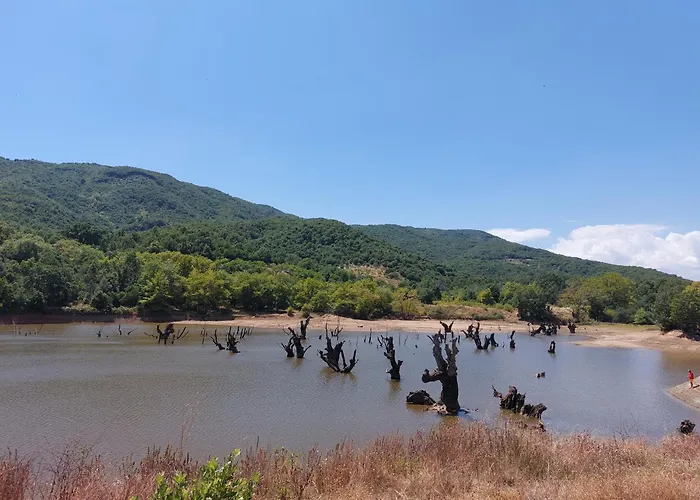 Neon Bed & Breakfast Larissa