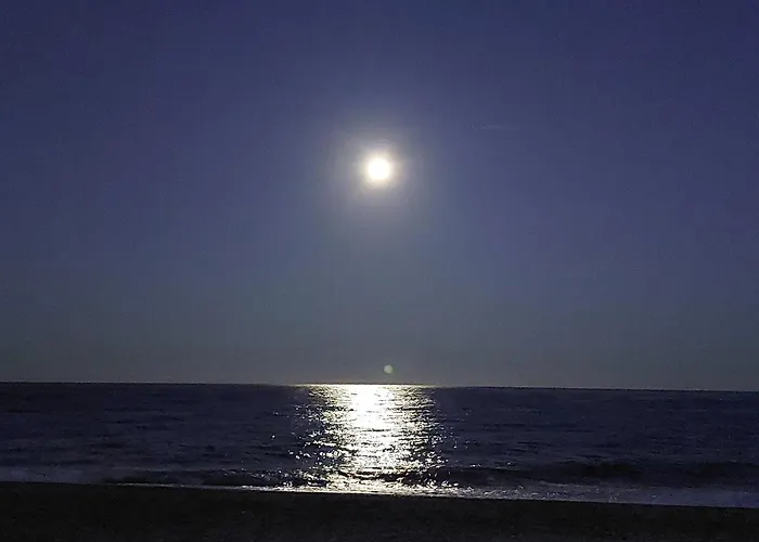 Neon Bed & Breakfast