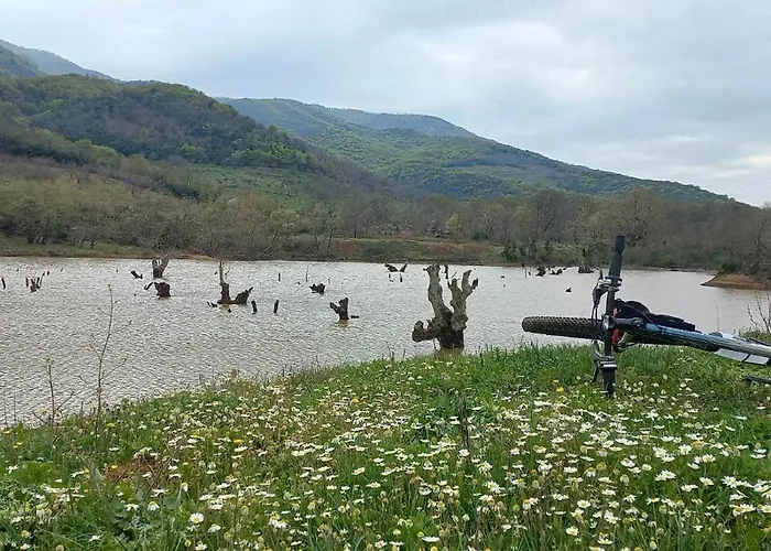 Bed & Breakfast Neon