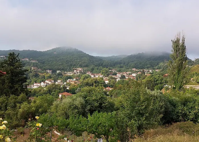 Neon Bed & Breakfast